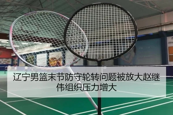 辽宁男篮末节防守轮转问题被放大赵继伟组织压力增大 - SABASports
